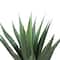 31.5" Potted Artificial Green Agave Americana Succulent